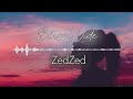 Blassa Vide COVER ZEDZED Ft ROU NEE RAY