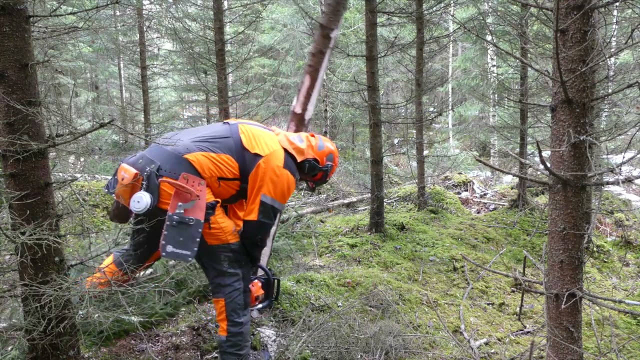 Echo CS501sx - japansk femtiokubikare i gallring