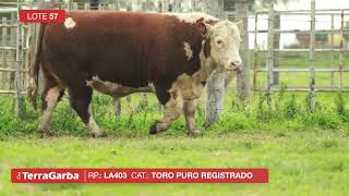 LOTE 57   RP LA403