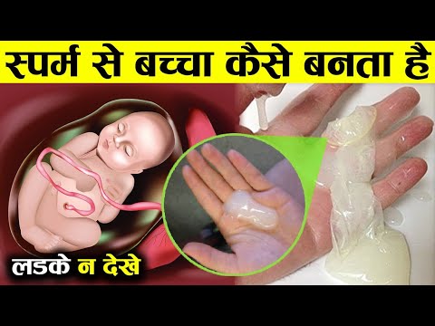 स्पर्म से पेट में बच्चा कैसे बनता है जानिये पूरी जानकारी How baby Born