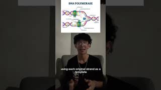 DNA REPLICATION EXPLAINED BY A NOTABLE SCHOLAR #biology #dna #science #meaning #genetics #rna