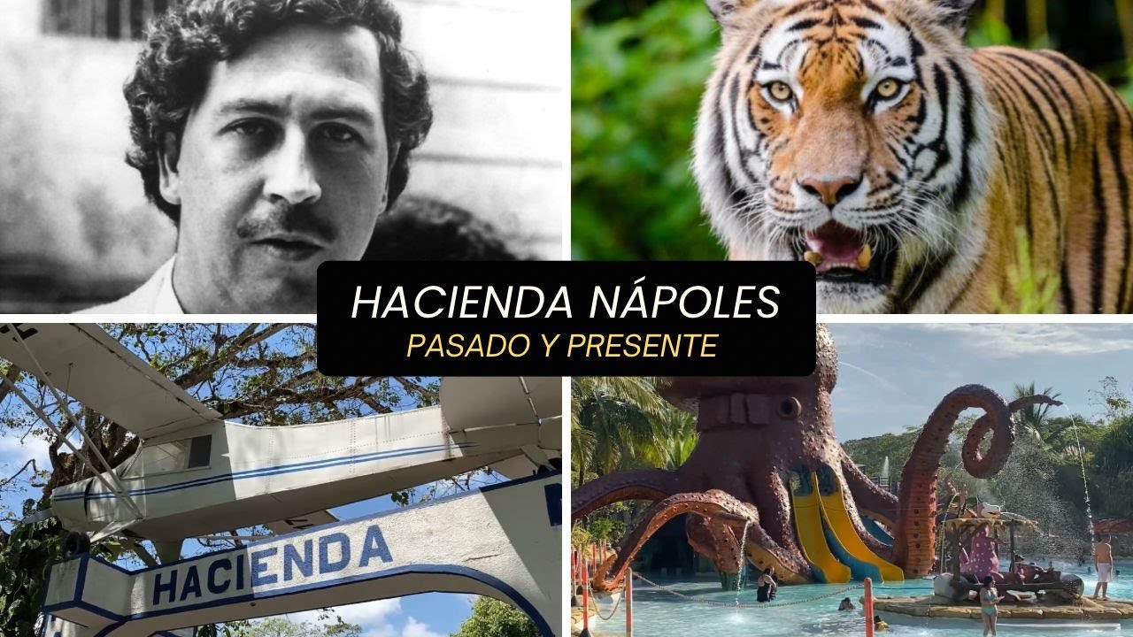 Que hacer en napoles