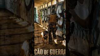 war dog training: #pastorbelgamalinois #dog #trainingdog #viral #training #shortvideo #pets