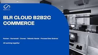 B2B2C Commerce Process
