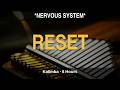 **NERVOUS SYSTEM RESET** | Kalimba 8 Hours | African Thumb Piano for Vagus Nerve Activation