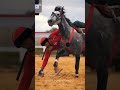 Кок Бору Кыргыз Баатырлары⚔️🦁🦁#кокбору #кыргызстан #манасниязов