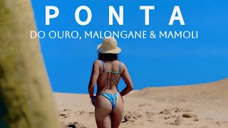 Your Complete MOZAMBIQUE Travel Guide PONTA DO OURO, PONTA MALONGANE and PONTA MAMOLI