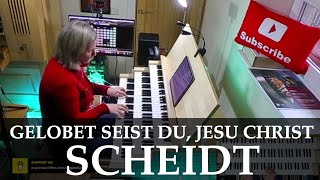 Gelobet seist du, Jesu Christ | Samuel Scheidt | Hauptwerk Martinikerk Groningen