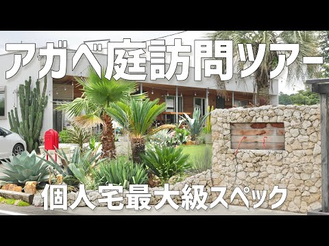 巨大アガベ庭①】個人宅のレベルじゃないw絶景ドライガーデン訪問