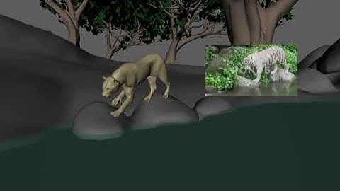 TCS Academy - Animation Skills Test