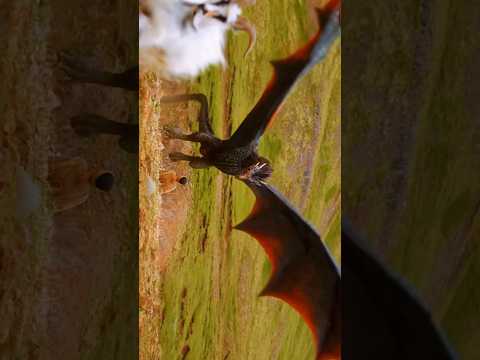 The Winged Shadow