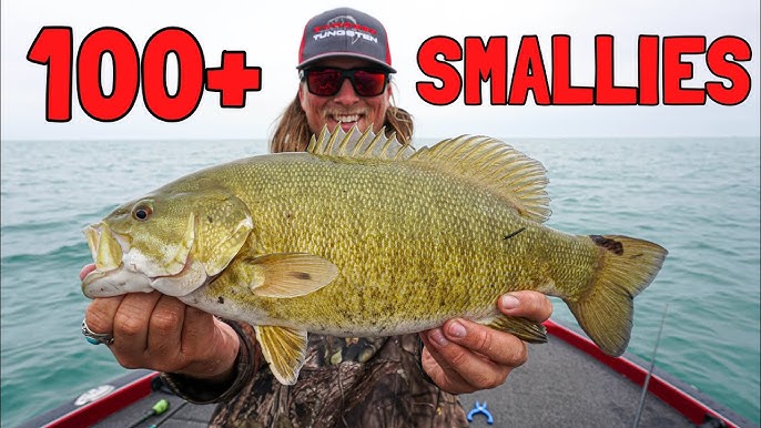 GIANT Lake St Clair Smallmouth Bass Fishing - THROW THIS LURE 