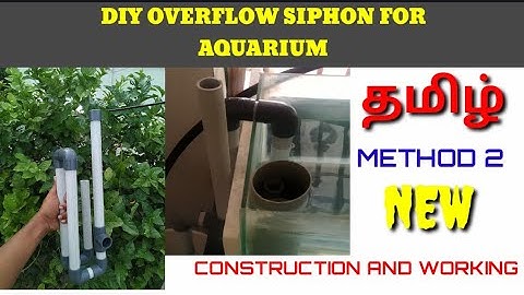 overflow siphon for aquarium, method-2 |new,different and powerful| #aquarium #overflow #fishtank