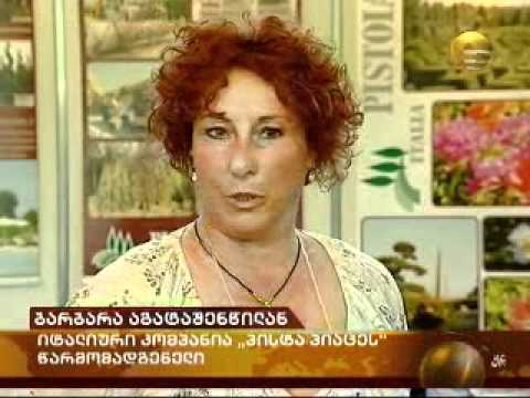 მშენებლობისა და ინტერიერის გამოფენა