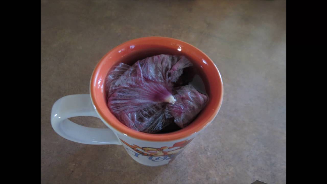 How to Make Hibiscus Tea - YouTube