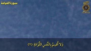 سورة القيامة للقارئ محمد هشام حسن أرح سمعك ❤
