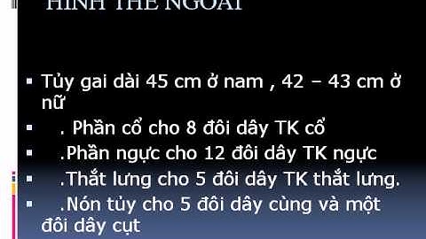 Giải phẫu học  Đại cương Hệ thần kinh tóm tắt