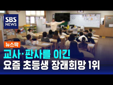 교사·판사보다 선호…초등생 43%가 꼽은 '장래희망 1위' / SBS / 뉴스딱