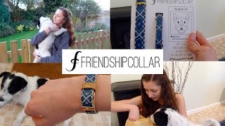 Package Opening | FriendshipCollar