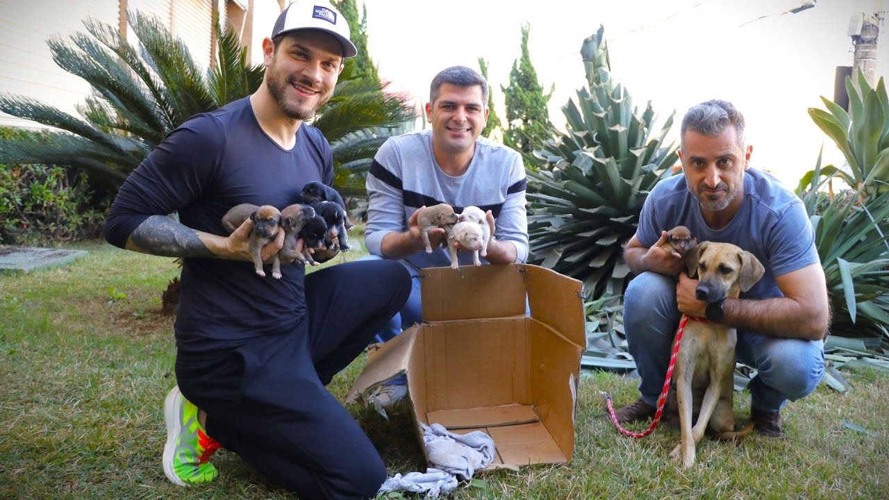 Resgate Emocionante, Mãe e Filhotes em Situação de Rua