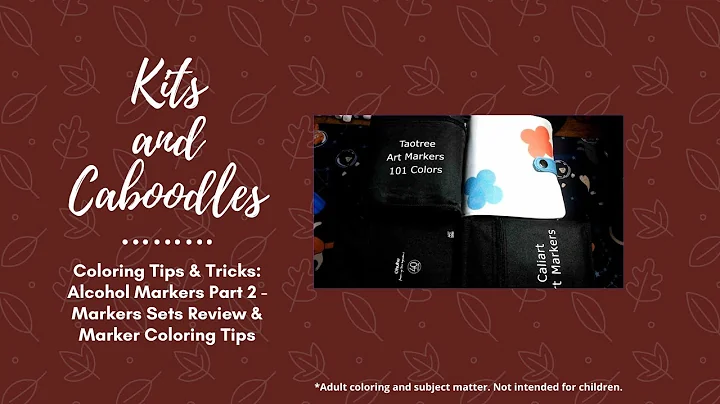 Coloring Tips & Tricks: Alcohol Markers Part 2 - Markers Sets Review & Marker Coloring Tips