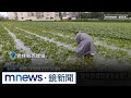 豪雨災情