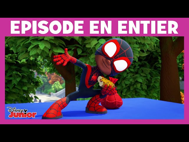 SPIDEY ET SES AMIS EXTRAORDINAIRES - T04 - SPIDEY ET SES AMIS