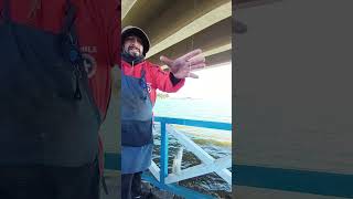 Doblete, Cuarenta, Pejerrey Marisma, Laguna Cahuil  #pesca #fishing #discovery #outdoors
