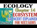 NCERT Ch-14 ECOSYSTEM Ecology class 12 Biology Full explained NCERT For BOARDS & NEET/AIIMS