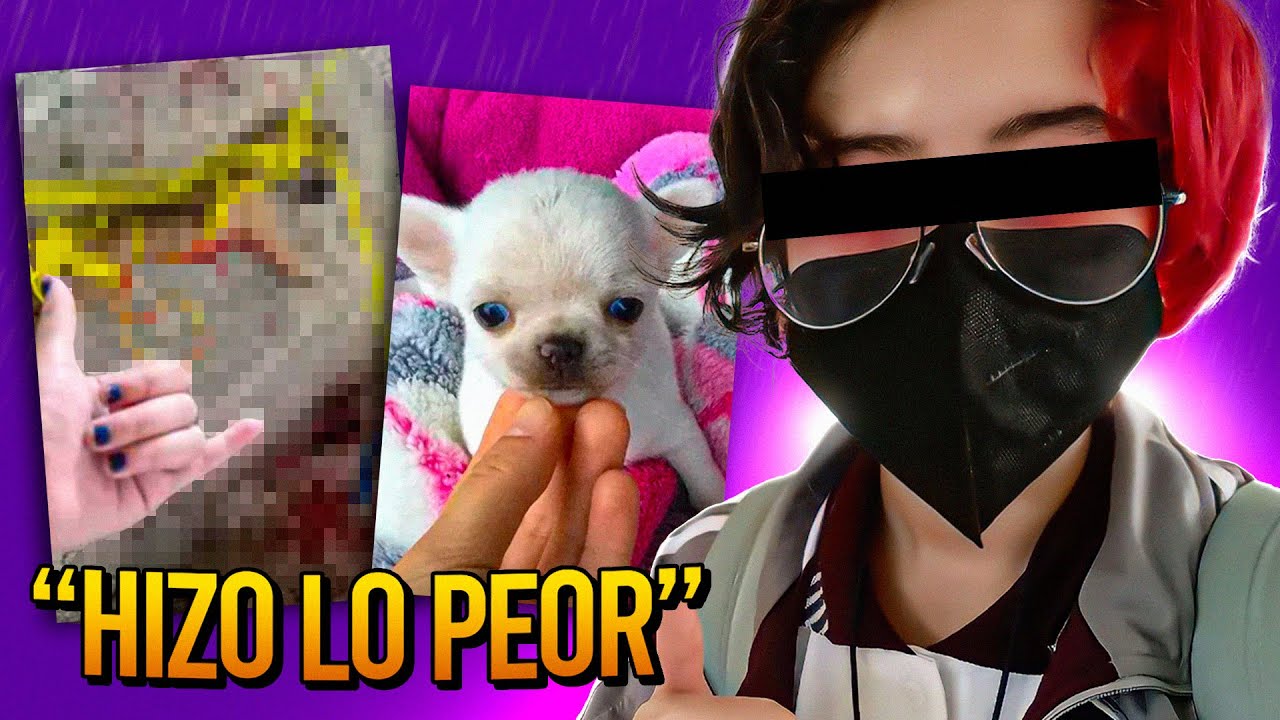 La NiÑa Tiktoker Mexicana Que Acabo Con La Vida De Su Perro De La Peor Forma Youtube