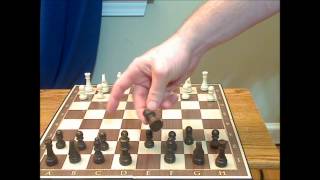 Yellow Mountain Imports Deluxe Chess Set screenshot 4