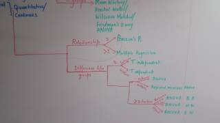 Statistics Decision Tree Part 2