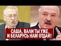 Жириновский призвал Лукашенко УЙТИ от власти и отдать Беларусь Кремлю!