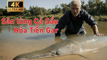 Jeremy Săn lùng cá sấu Hỏa Tiễn Gar