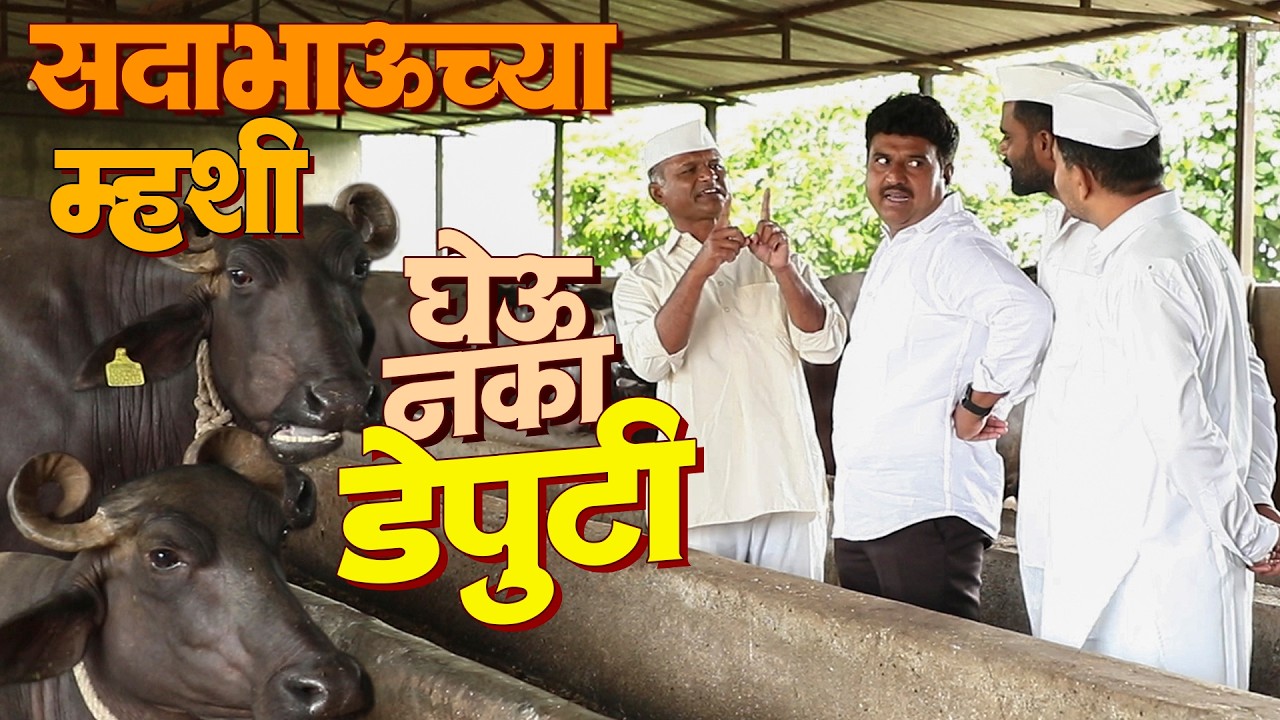 सदाभाऊच्या म्हशी अजिबात घेऊ नका डेप्युटी | राया मराठी - भाग - २१६ | Raya Marathi Episode - 216