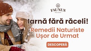 Remedii Naturiste Pentru Iarnă Sfaturi Simple Ca Să Rămâi Sănătos În Sezonul Rece Faunus Plant