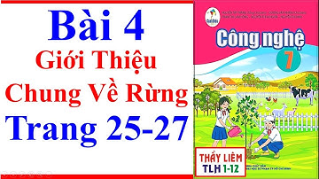 Công Nghệ 7 Bài 4 | Giới Thiệu Chung Về Rừng | Trang 25 – 27 | Cánh Diều