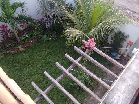 Como montar um jardim com baixo custo