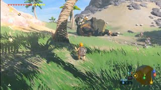 The Legend of Zelda: Breath of the Wild Master Mode Eventide Island