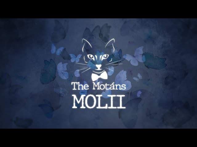 The Motans - Molii