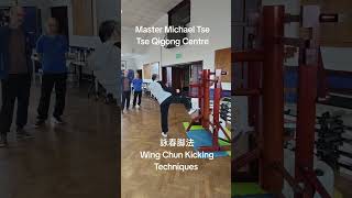 詠春腳法 Wing Chun Kicking Techniques #功夫 #kungfu #martialarts #詠春拳 #wingchun #ipman #ipchun #葉問 #葉準