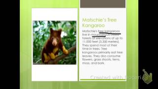 Lesson 8 Primary Comprehension Toolkit