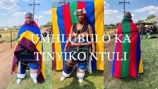 Vlog 8Ndebele Ceremony