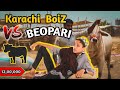 Karachi Boyz Vs Beopari - Asia Biggest Cow Mandi 2020