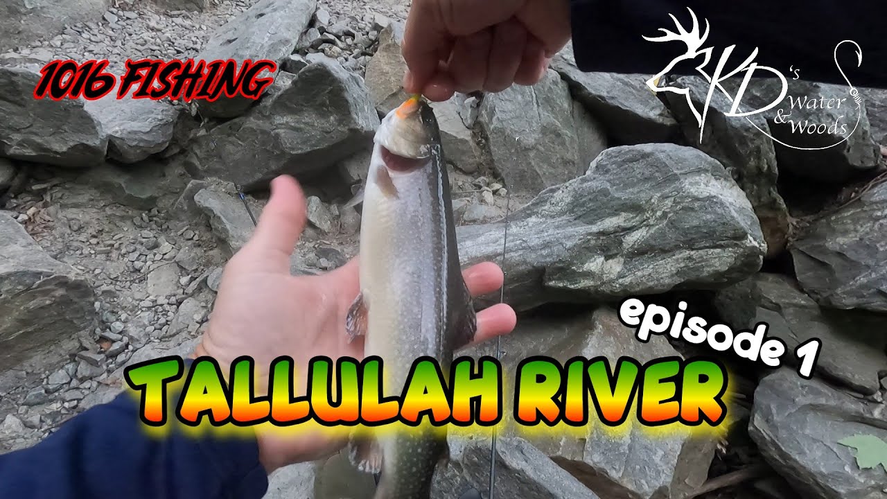TALLULAH RIVER (Ep1) TROUT FISHING NORTH YouTube