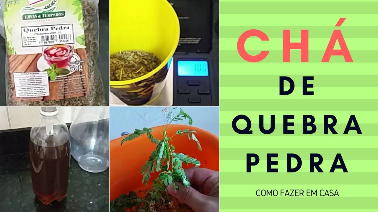 Como fazer chá de quebra pedras. YouTube Como fazer chá de quebra pedras. YouTube