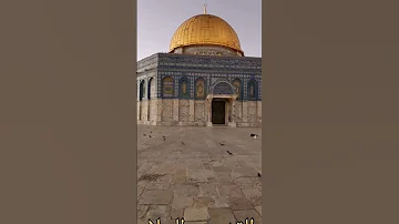 حمائم المسجد الأقصى المبارك في بيت المقدس Doves Of The Blessed Al Aqsa Mosque 