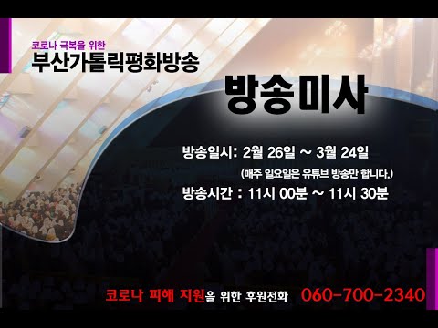 영상썸네일