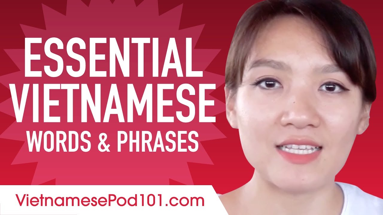 ⁣Essential Vietnamese Words and Phrases to Sound Like a Native