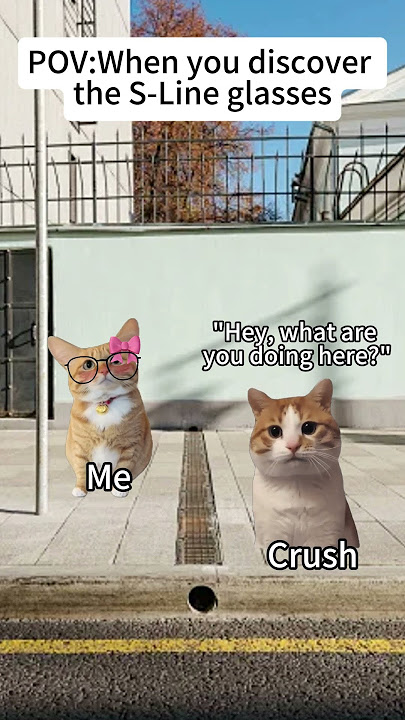 CAT MEMES🐱When you discover the S-Line glasses #catmemes #memes #funnymemes #funny #relationship